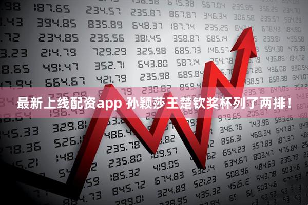 最新上线配资app 孙颖莎王楚钦奖杯列了两排！