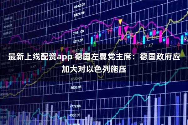最新上线配资app 德国左翼党主席：德国政府应加大对以色列施压